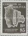 Grain inside Map of Bolivia
