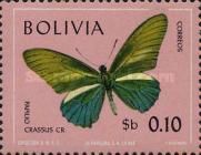 Crassus Swallowtail (Papilio crassus)