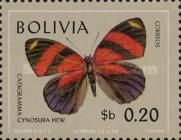 Cynosura Eighty-eight (Catagramma cynosura)