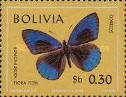 Purplewing Butterfly (Eunica eurota flora)