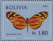 Tiger Longwing (Heliconius hecale felix)