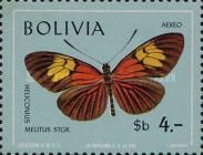 Heliconian Butterfly (Heliconius mellitus)