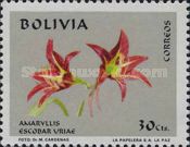 Amaryllis (Escobar uriae)