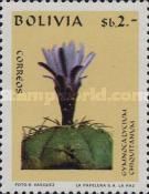 Gymnocalycium chiquitanum