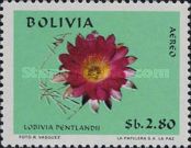 Lobivia pentlandii