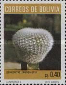 Echinocactus lenninghaussii