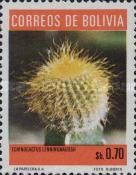 Echinocactus lenninghaussii