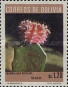 Mammillaria bocasana