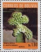 Opuntia cristata