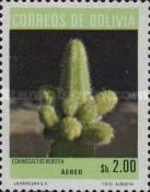 Echinocactus rebutia