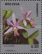 Cattleya nobilior