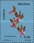 Zygopetalum bolivianum