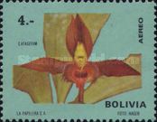 Catasetum saccatum