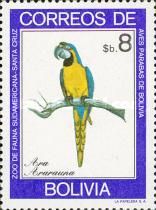 Blue-and-yellow Macaw (Ara ararauna)