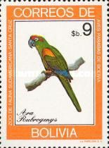 Red-fronted Macaw (Ara rubrogenys)