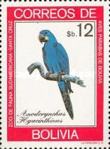 Hyacinth Macaw (Anodorynchus hyacinthinus)