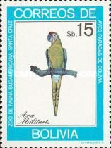 Military Macaw (Ara militaris) 