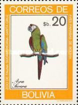 Chestnut-fronted Macaw (Ara severa)