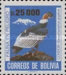 Andean Condor (Vultur gryphus)