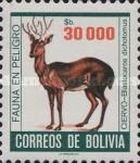 Marsh Deer (Blastocaros dichotomus)