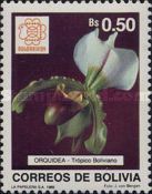 Tropico Boliviano