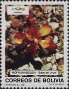 Hofmannseggia