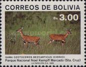Pampas Deer (Ozotoceros bezoarticus)