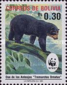 Spectacled Bear (Tremarctos ornatus)