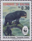 Spectacled Bear (Tremarctos ornatus)