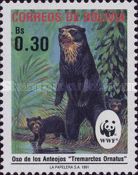 Spectacled Bear (Tremarctos ornatus)