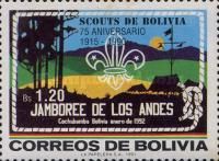 Scout Jamboree Cochabamba