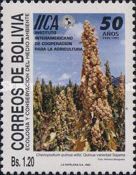 Chenopodium quinoa