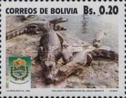 Spectacled Caiman (Caiman crocodilus)