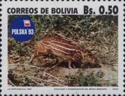 Lowland Paca (Cuniculus paca)