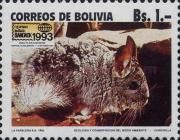 Short-tailed Chinchilla (Chinchilla chinchilla)