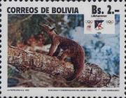 Amboro Silky Anteater (Cyclopes catellus)