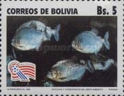 Black-tailed Piranha (Serrasalmus piraya)