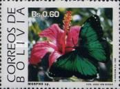 Butterfly (Morpho sp.)