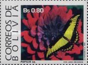 King Swallowtail (Papilio thoas)