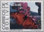 Mexican Fritillary (Euptoieta hegesia)
