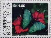 Deidamia Morpho (Morpho deidamia)