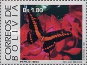 King Swallowtail (Papilio thoas)