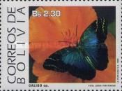 Owl Butterfly (Caligo sp.)