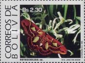 Orizaba Silkmoth (Rothschildia orizaba)