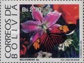Heliconius Butterfly (Heliconius sp.)