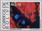 Brown Prepona (Prepona chromus)