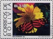 Heliconius Butterfly (Heliconius sp.)
