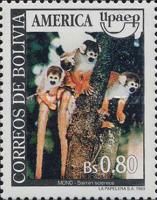 Black-capped Squirrel Monkey (Saimiri sciureus)