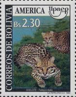Ocelot (Leopardus pardalis)