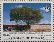 Schinus molle